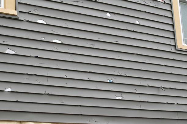 Best Same-Day Junk Removal Services  in Freedom, CA